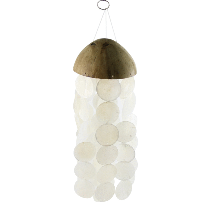 Cocos scoici DFMIshopFreeQ (2)