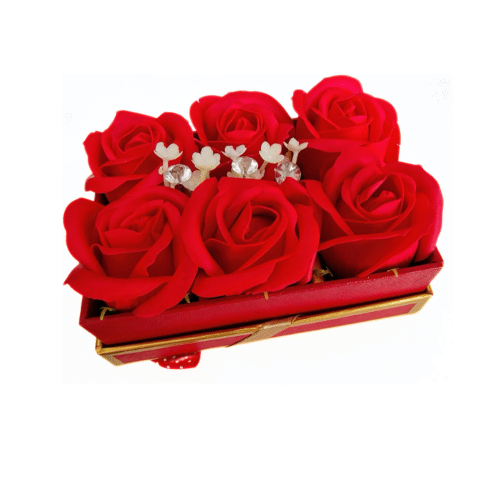 DFMiSHOP FreeQ Trandafiri sapun DFMiSHOP FreeQ Trandafiri sapun